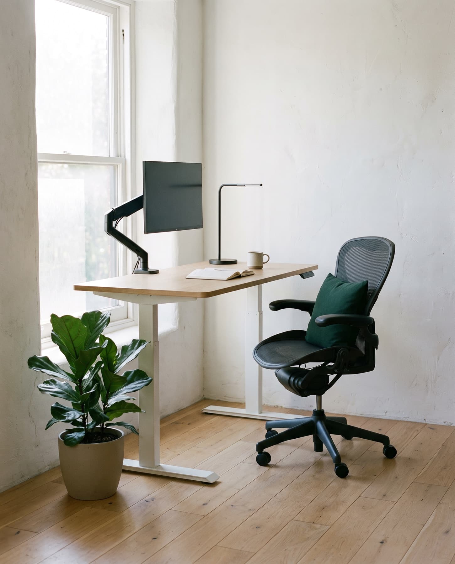 Poste de travail à domicile en fin de matinée : bureau assis-debout à plateau de chêne en position haute, siège de travail en résille, écran porté par un bras, lampe articulée